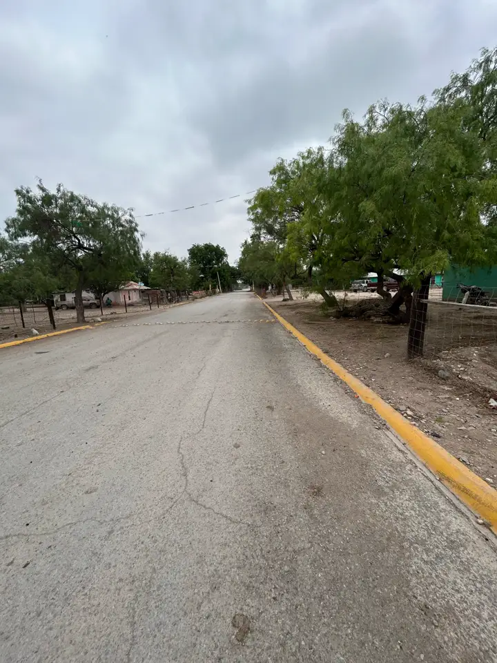 Calle pavimentada con árboles frente a la zona del terreno